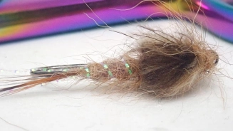 Vulgata emerger top Vulgata emerger top