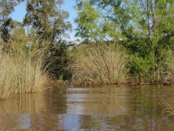 Hidings for fish Hidings for fish