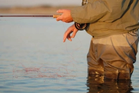 Discrete but expensive. Discrete but expensive.