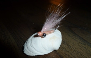 Crazy Charlie Crazy Charlie