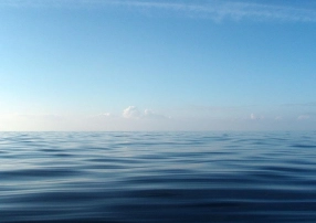 The first trip The first trip