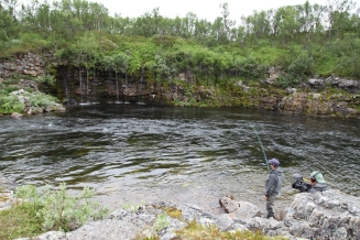 The fight is on The fight is on