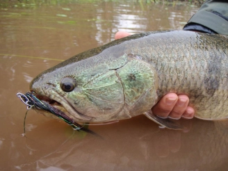 Nicely colored Nicely colored