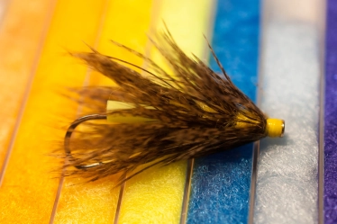 A Zoom tube fly A Zoom tube fly