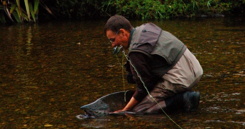 The landing The landing