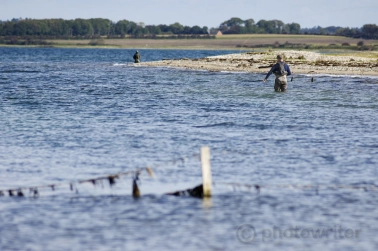 Lots of coast Lots of coast