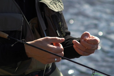 Your own leaders Your own leaders