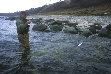 Landing a fish in the rocks Landing a fish in the rocks