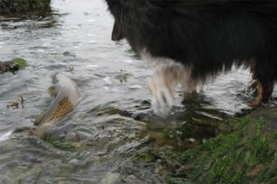 Back out here Back out here