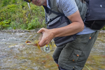 The second trout confirmed the grasshopper attraction The second trout confirmed the grasshopper attraction