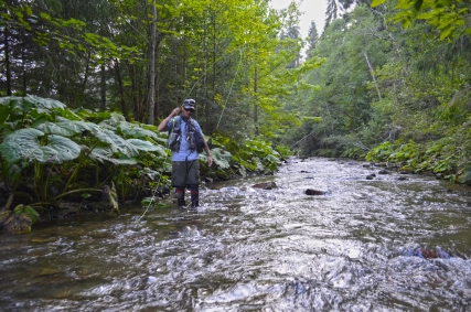 This repeated 127 times on that day This repeated 127 times on that day