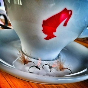 Coffee and flies Coffee and flies