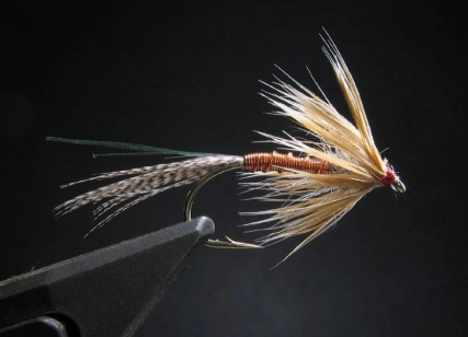 Klympen on black Klympen on black