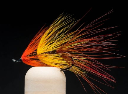 Colored hackles add style Colored hackles add style