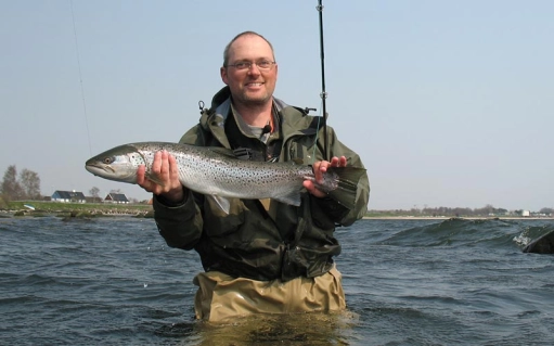 Seatrout Seatrout