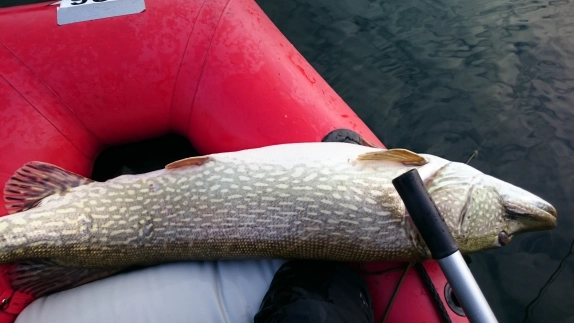 Personal best Personal best