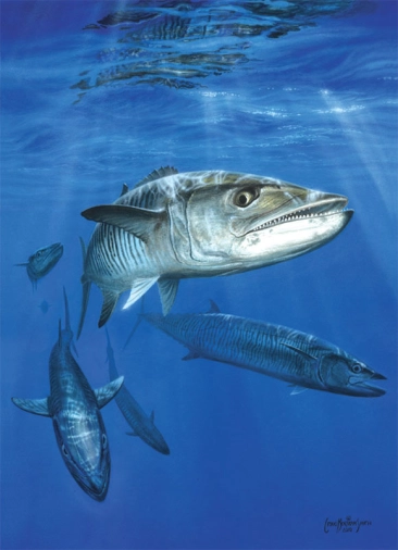 Spanish Armada Spanish Armada