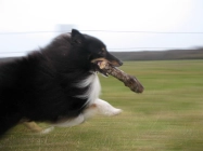 Running with a stick Running with a stick