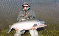 Trophy midsummer salmon Trophy midsummer salmon
