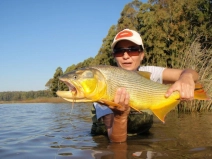 What a beauty! What a beauty!