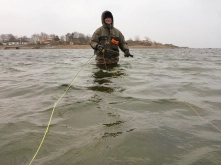 The direct line The direct line