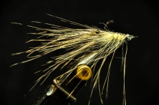 Spey hackle shrimp. Spey hackle shrimp.