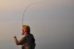 Shooting line Shooting line