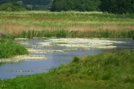 Compressing perspective Compressing perspective