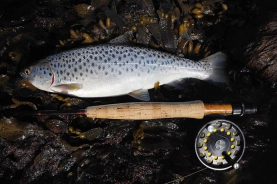 Above average Above average