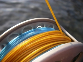 Thick line Thick line