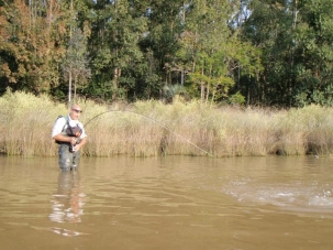 Another strong fighter Another strong fighter