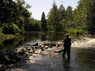 North-Estonia North-Estonia