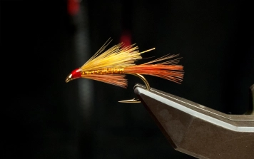 Finished Talisker Touchdown Finished Talisker Touchdown