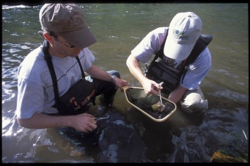 Fish with a friend Fish with a friend