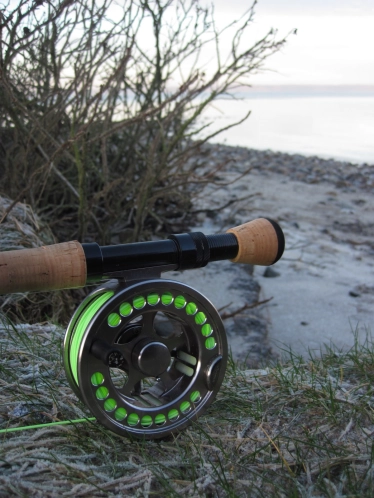 Read for some winter action Read for some winter action