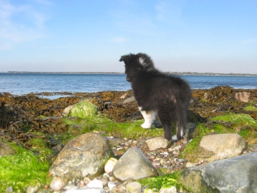 It's a big world It's a big world