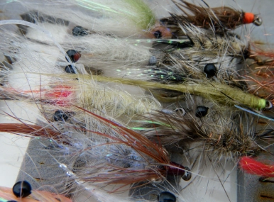 Coastal seatrout fly patch. Coastal seatrout fly patch.