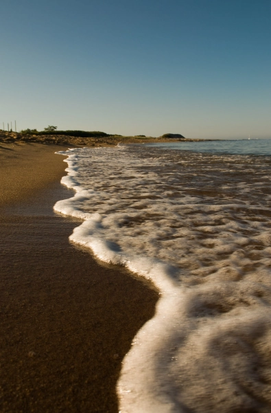 Golden sand Golden sand