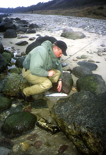 A fish for the pan A fish for the pan