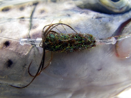 Free on the leader Free on the leader