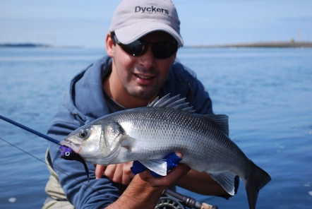 The author The author