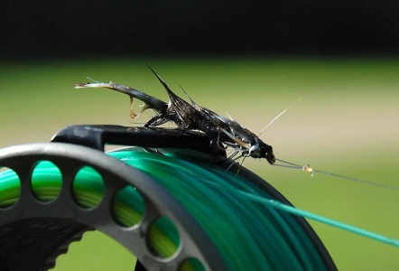 In the loop In the loop