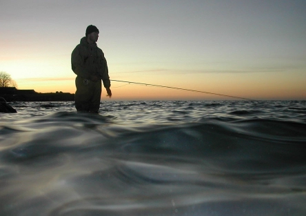 The light over the horizon The light over the horizon