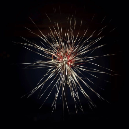 Round and fluffy Round and fluffy