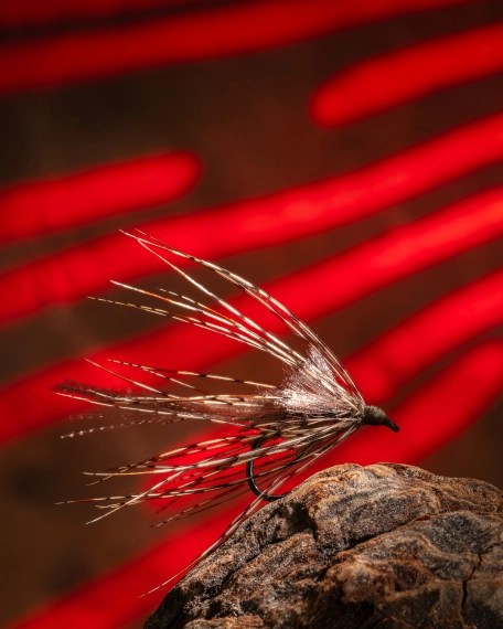 Light from the gobo attachment Light from the gobo attachment
