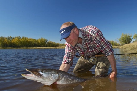 Peter Lyngby Peter Lyngby