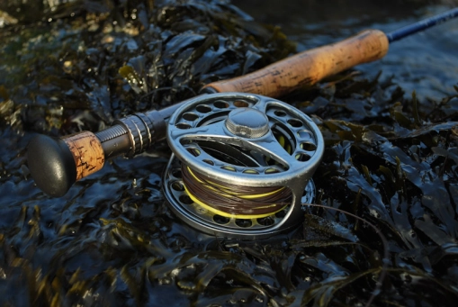 Gear in the weed Gear in the weed