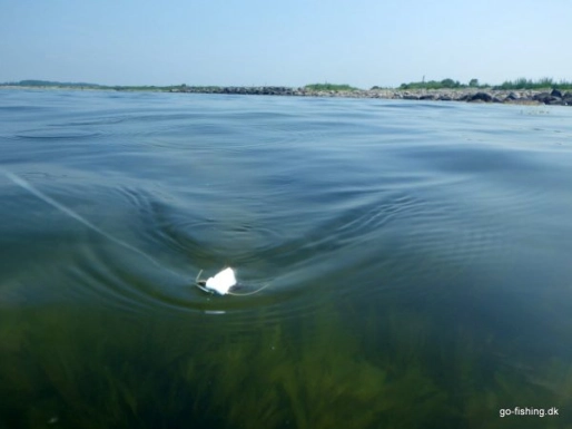 In the surface In the surface