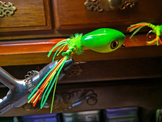 Firetiger Frog Firetiger Frog