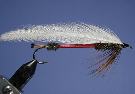 Royal Coachman Royal Coachman